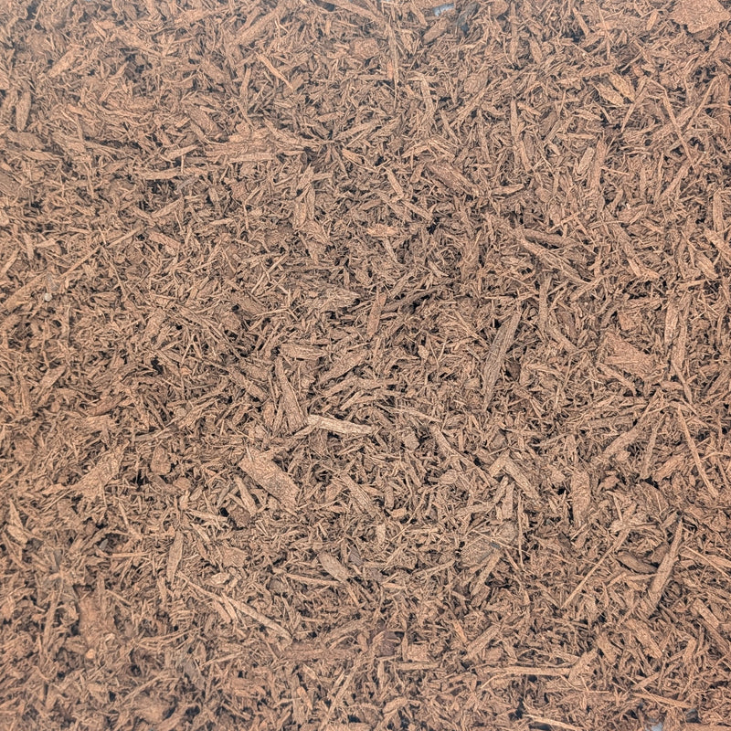 Gold Mulch